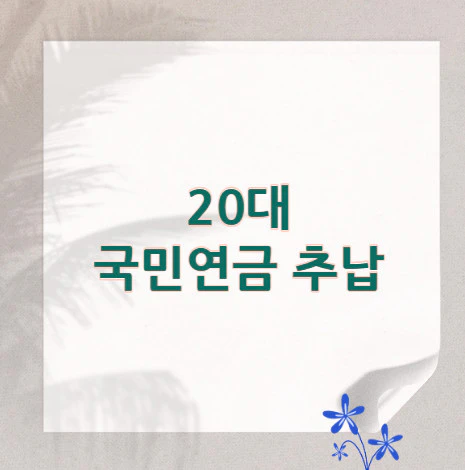 20대-국민연금-추납